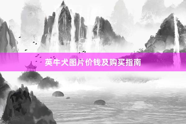英牛犬图片价钱及购买指南