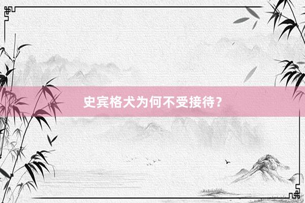 史宾格犬为何不受接待？